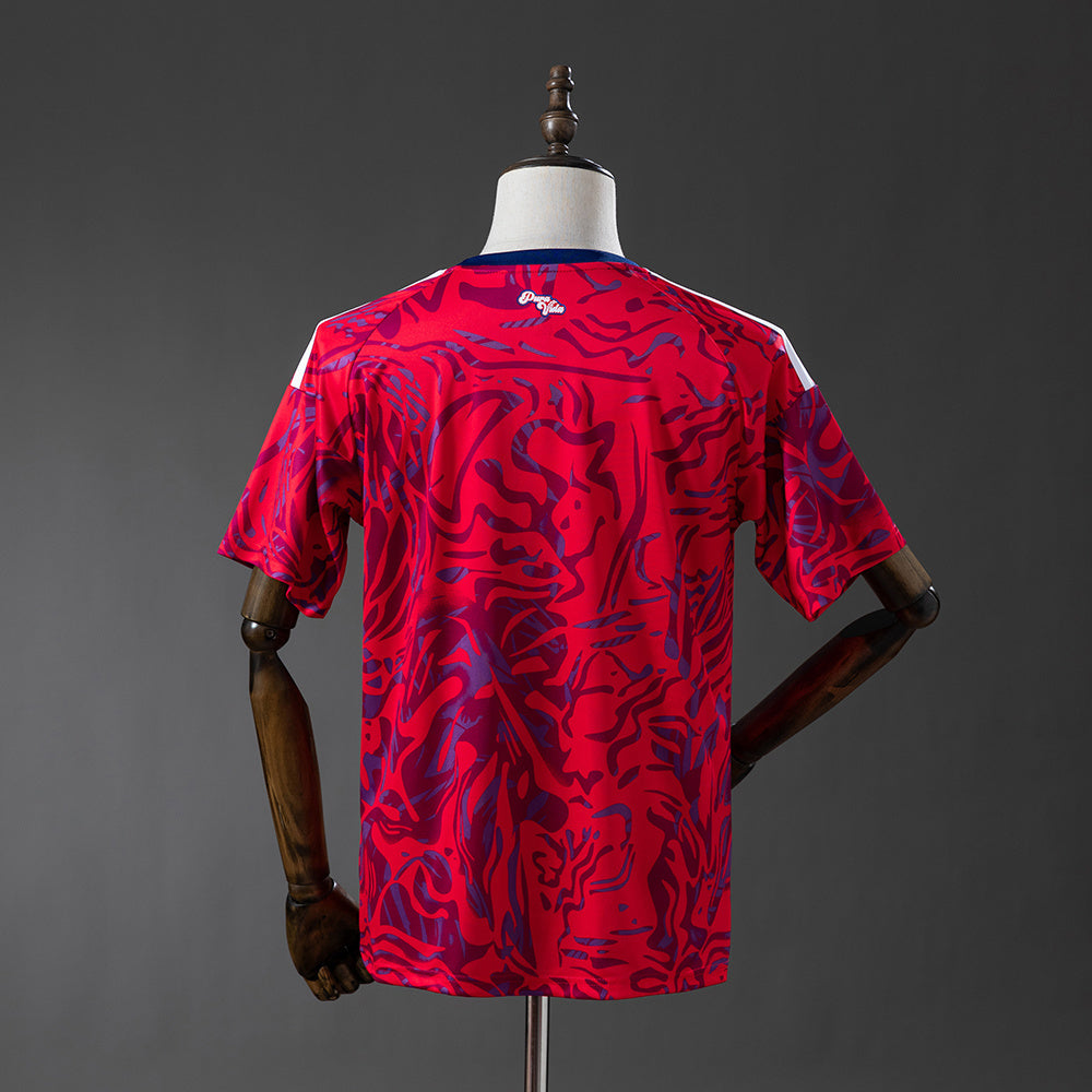 COSTA RICA MUNDIAL 2026 - PRINCIPAL