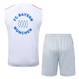 Kit Treino Manga Cava FC Bayern Munique 2025-26