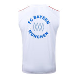Kit Treino Manga Cava FC Bayern Munique 2025-26