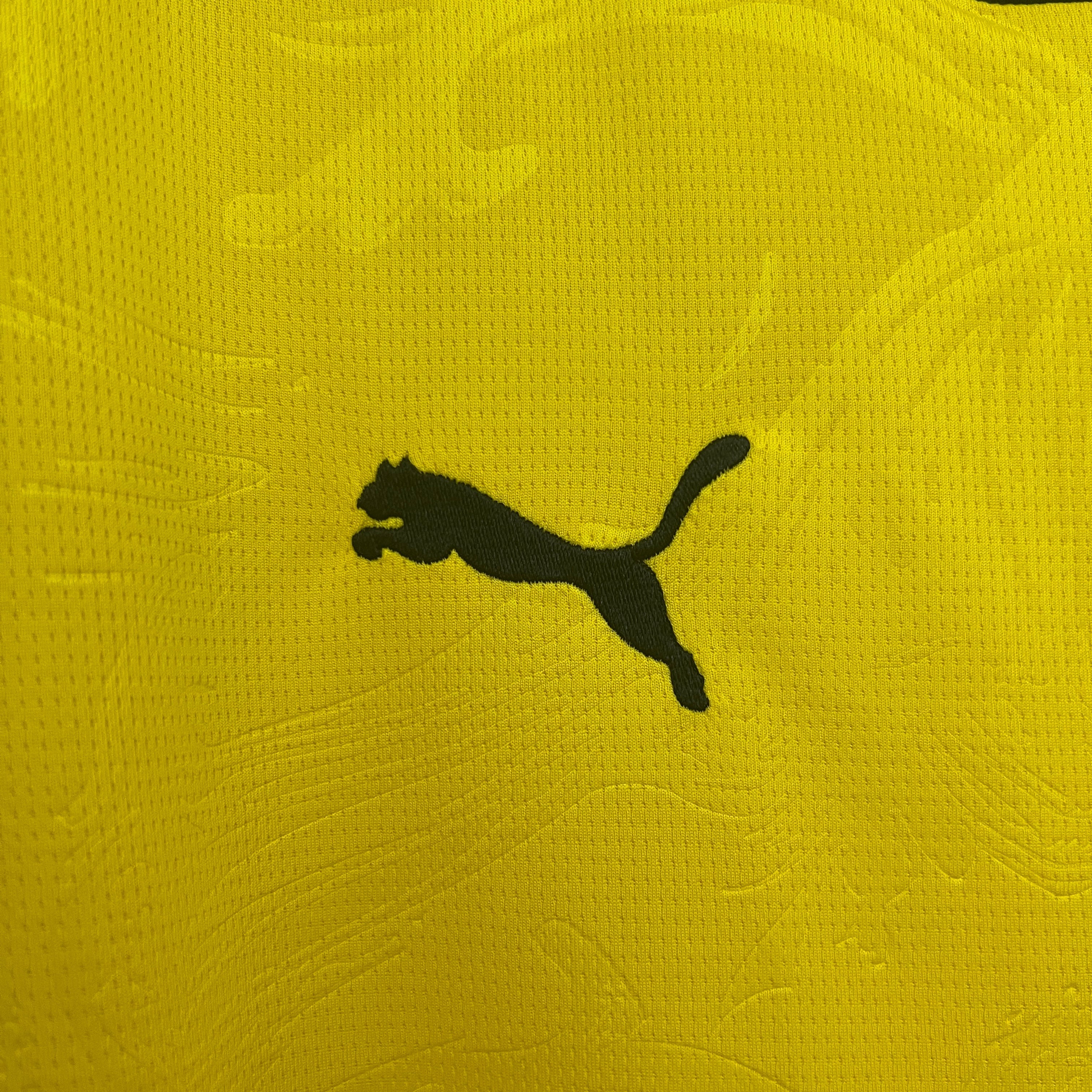 Camisola Borussia Dortmund 2025-26 Edição Especial Versão Adepto