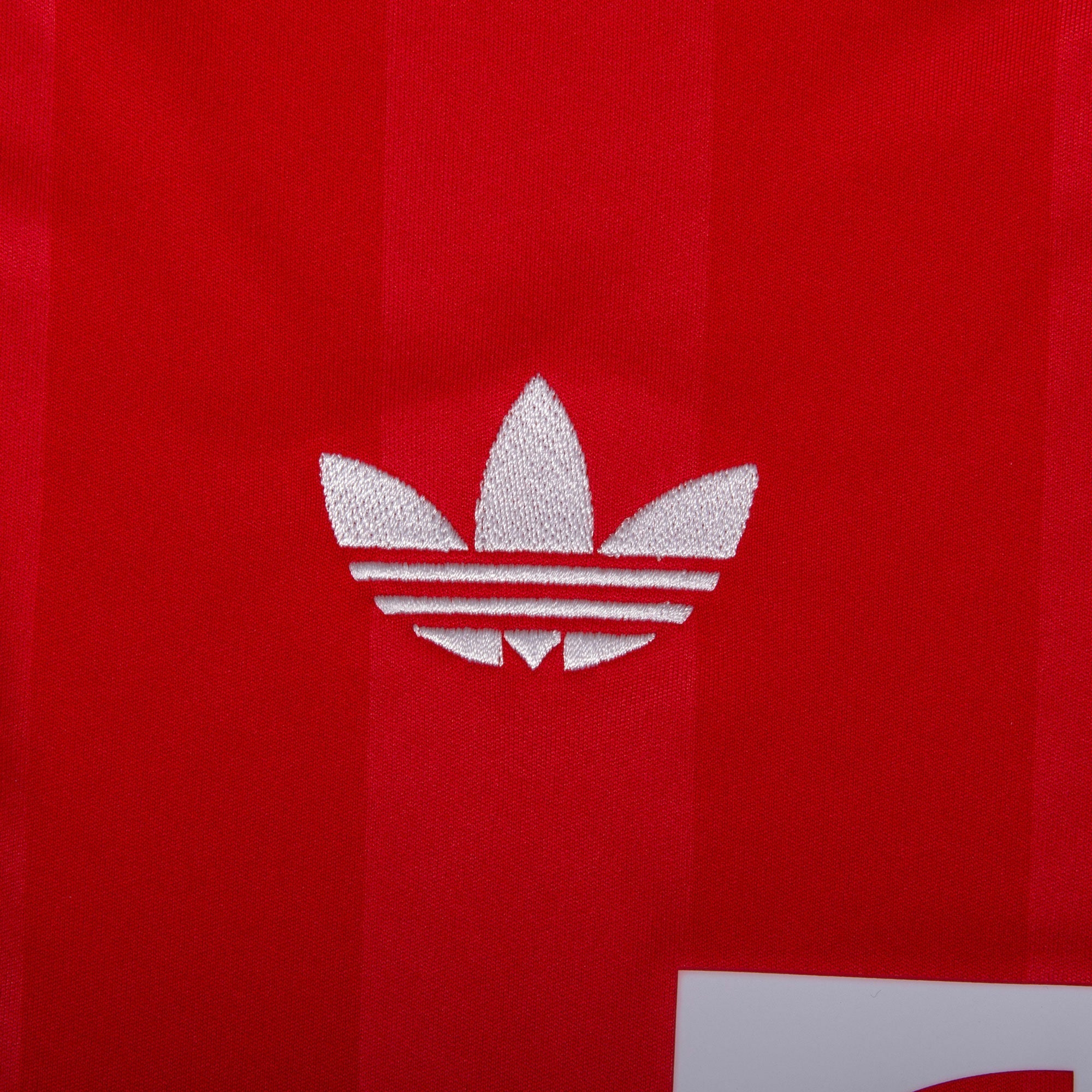 Camisola FC Bayern Munique 2025-26 Guarda-Redes Versão Adepto