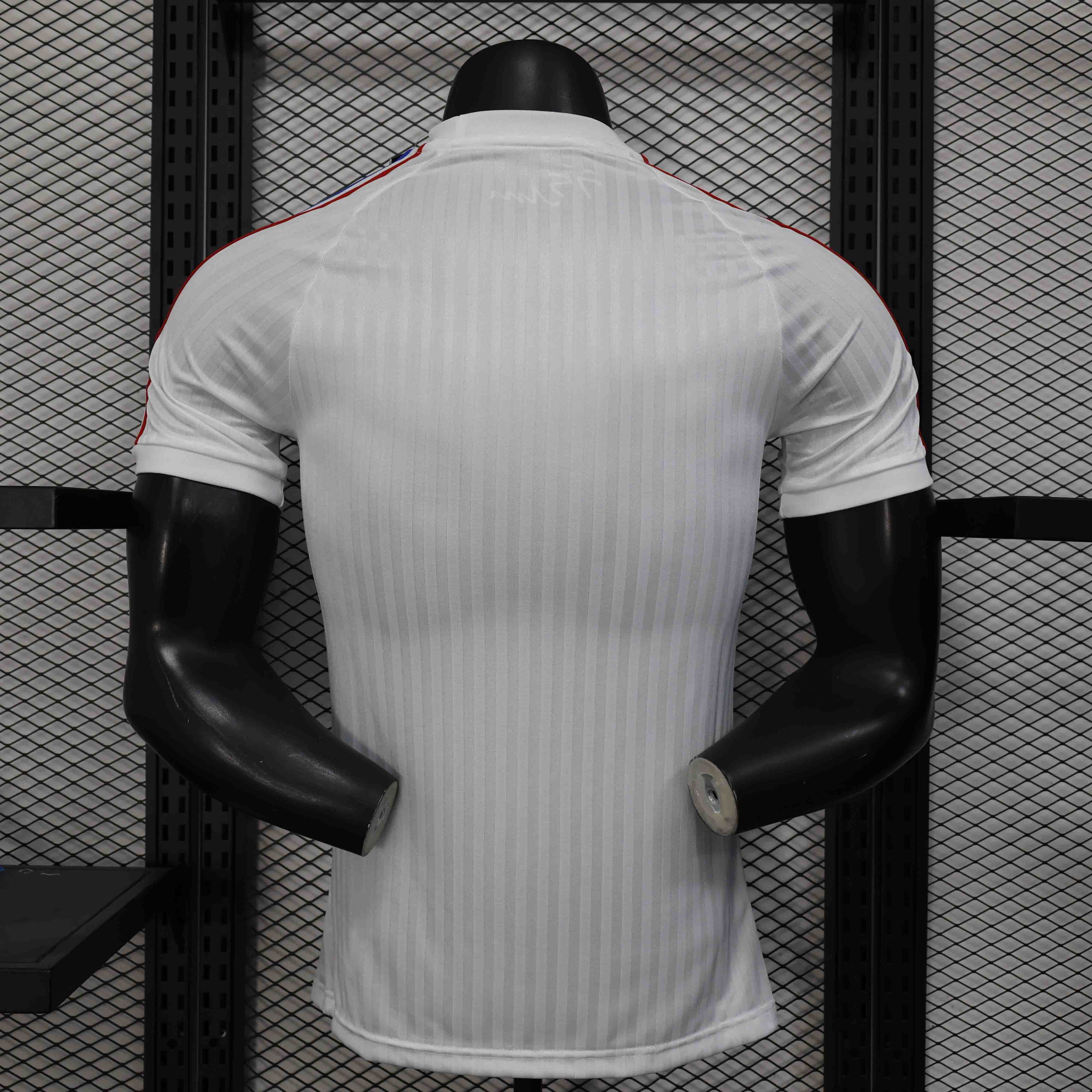 Camisola Olympique Lyon 2025-26 Edição Especial Versão Jogador