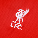 Kit Treino Camisola LIV 2025-26
