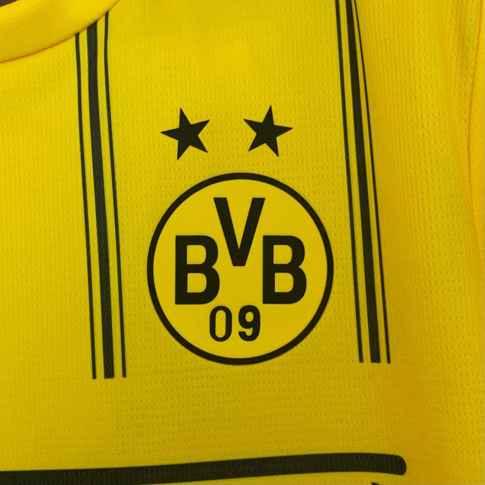 Camisola Borussia Dortmund 2025-26 Ediçao Especial Versão Adepto