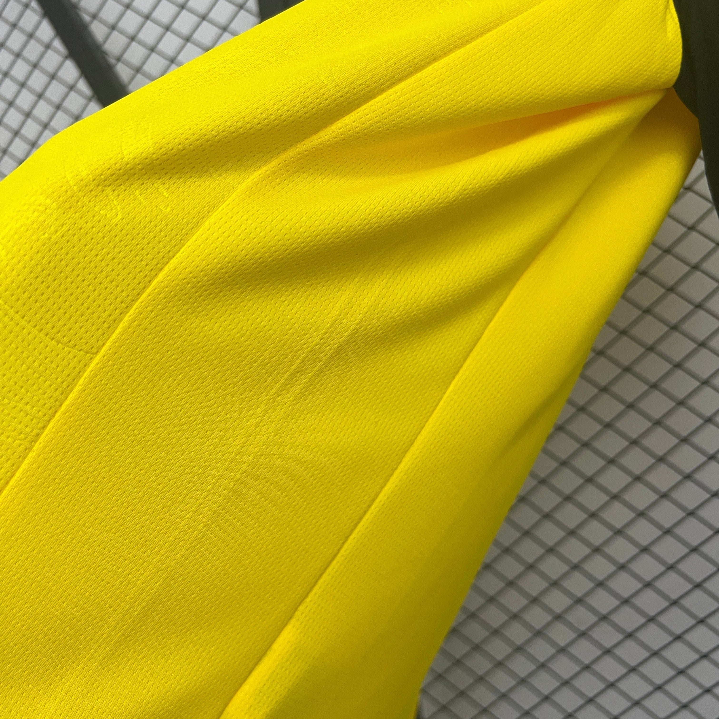 Camisola Borussia Dortmund 2025-26 Edição Especial Versão Adepto