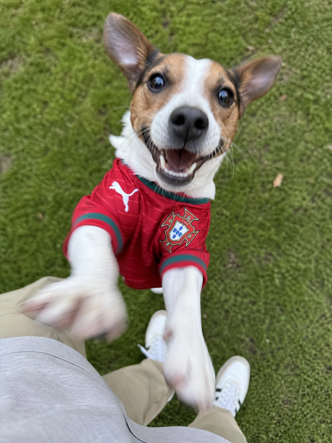 Camisola seleção Portuguesa Versão Animal
