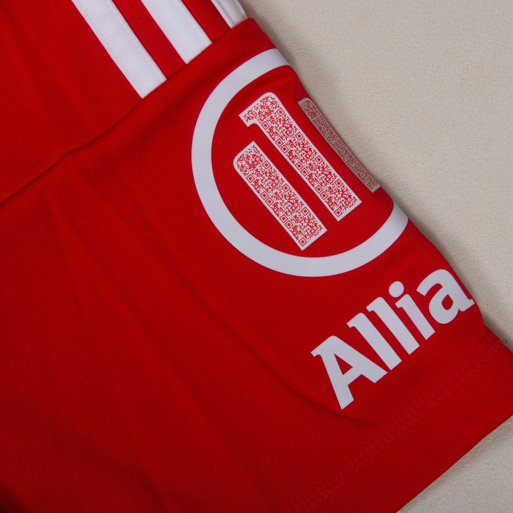 Camisola FC Bayern Munique 2025-26 Guarda-Redes Versão Adepto