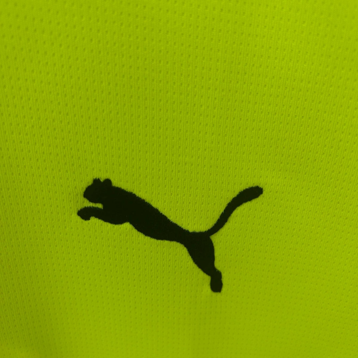 Camisola Borussia Dortmund 2025-26 Edição Especial Versão Adepto