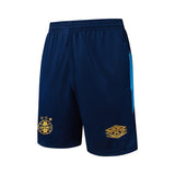 Kit Treino Camisola Gremio 2025-26